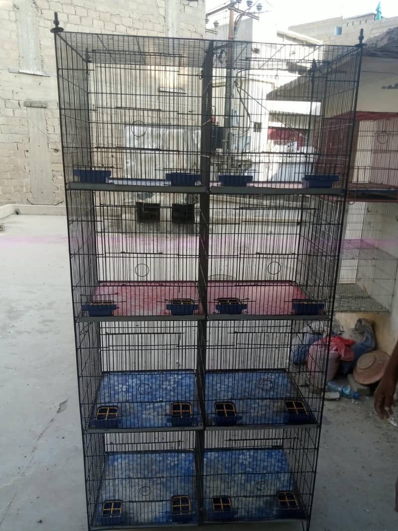 BIRD CAGE 1