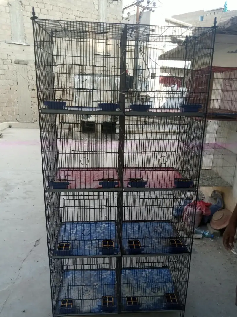 BIRD CAGE — photo 2