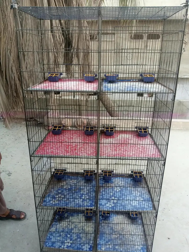 BIRD CAGE — photo 3