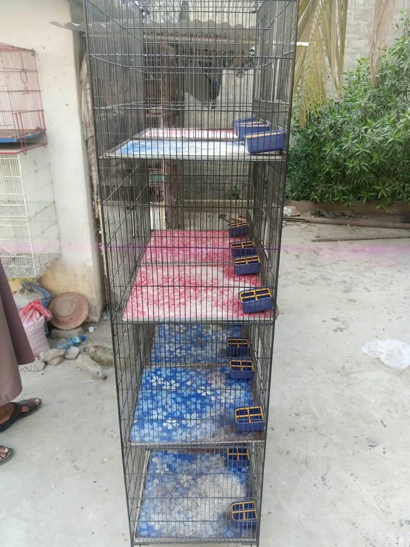 BIRD CAGE 3