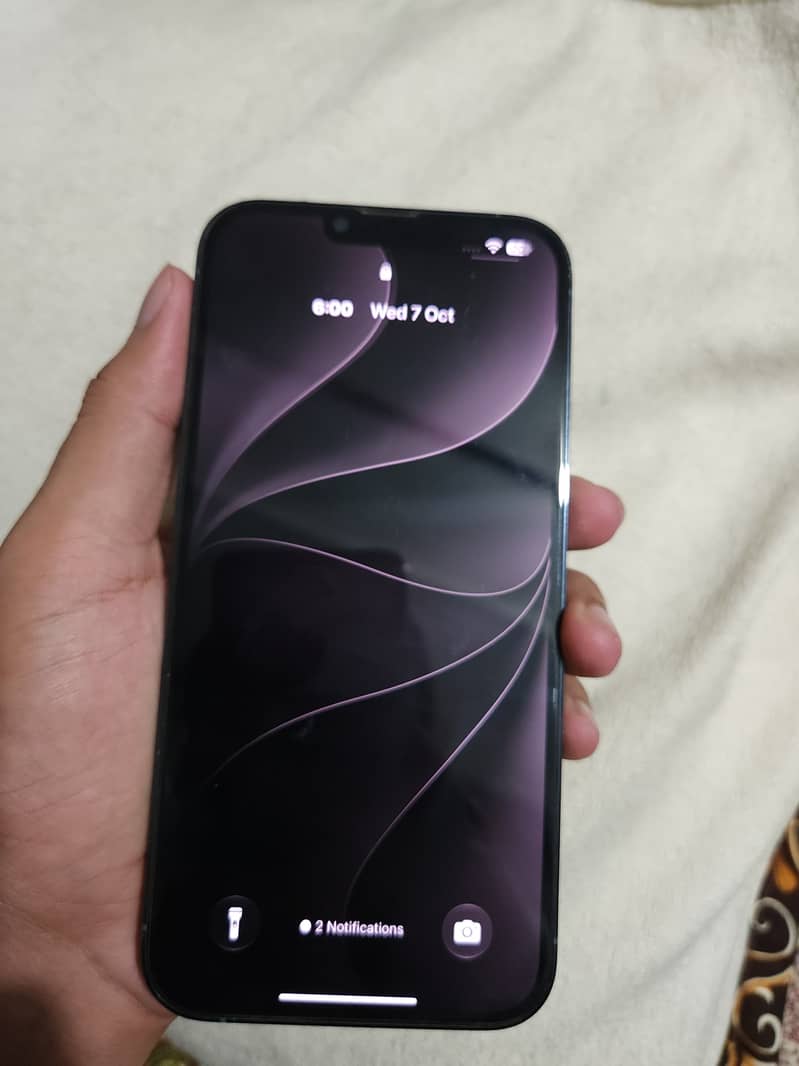 Apple iPhone 13 Pro Max 0