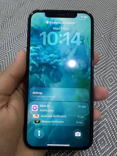 Apple iPhone 12 Pro