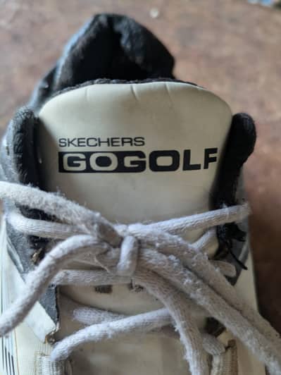 Skechers GoGolf 11 no Bowling Spikes