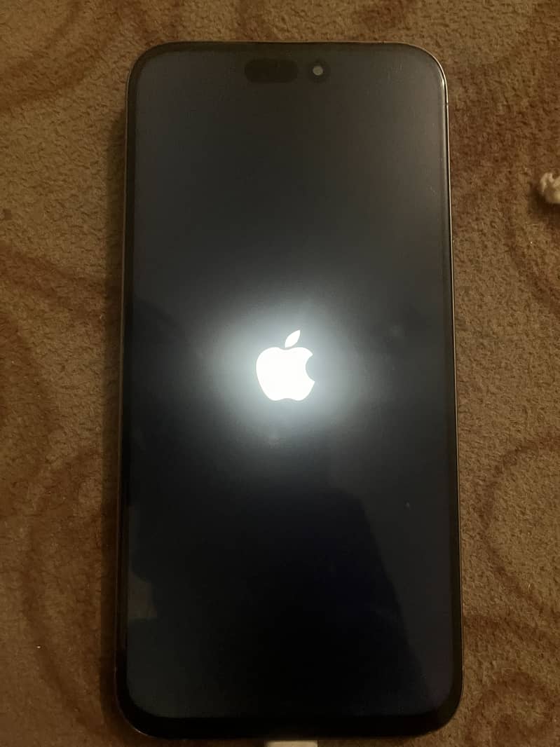 Apple iPhone 15 Pro Max 1