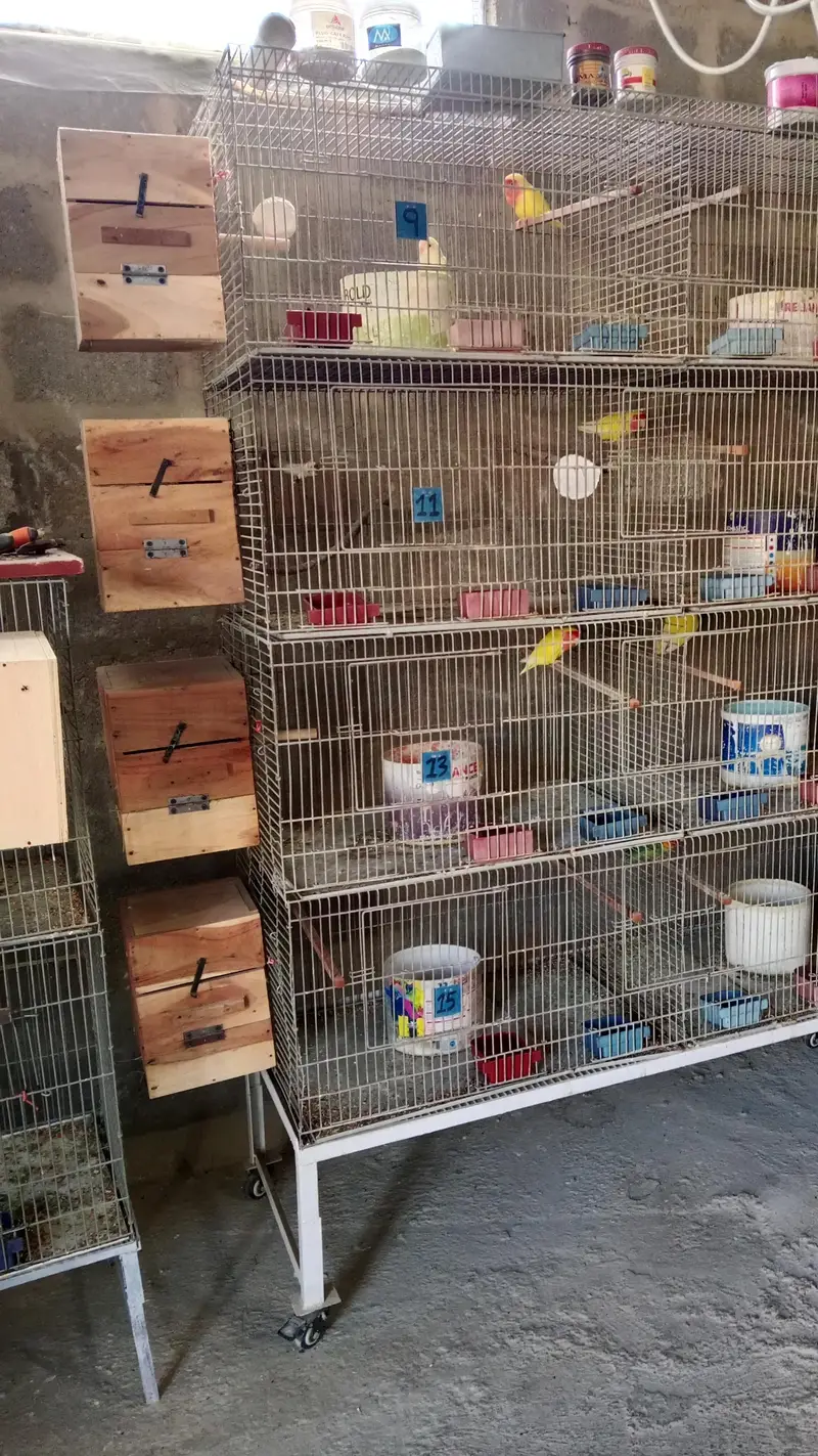 cage 8portion — photo 2