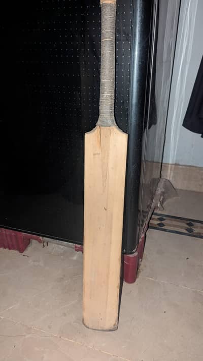 Cricket hard ball bat