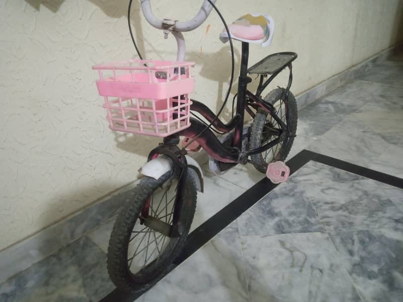 kids bycycle 2