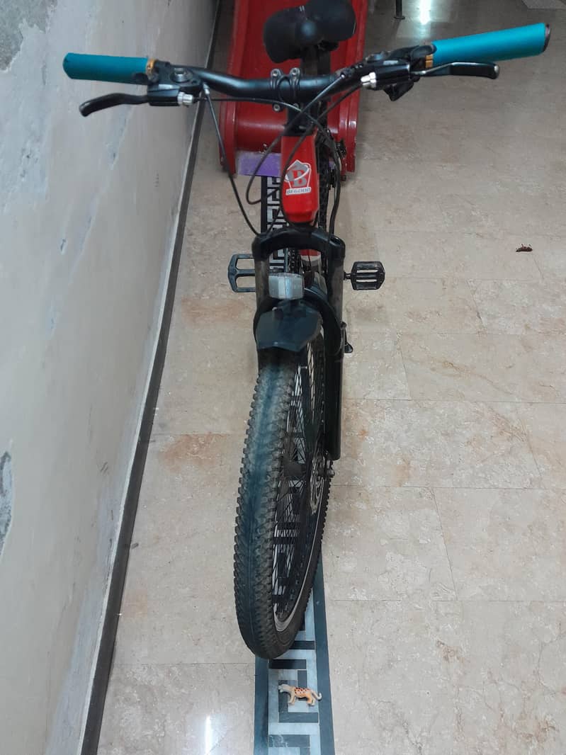 BEGOOD bycycle 1