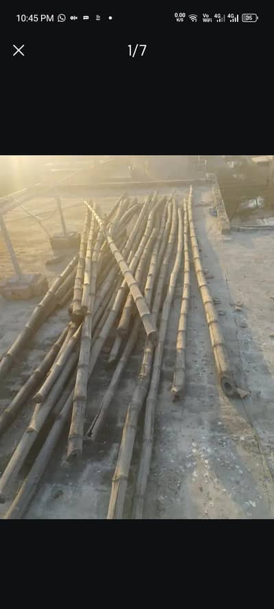 bamboo and phaty good condition
