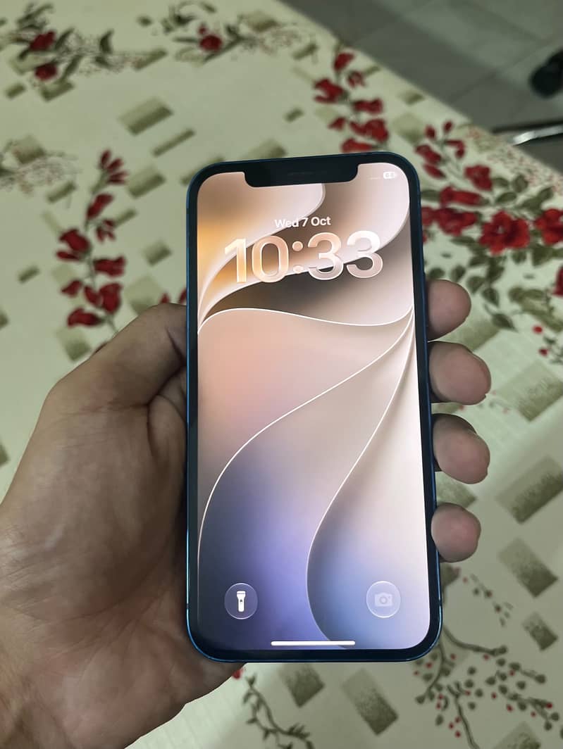 Apple iPhone 12 1
