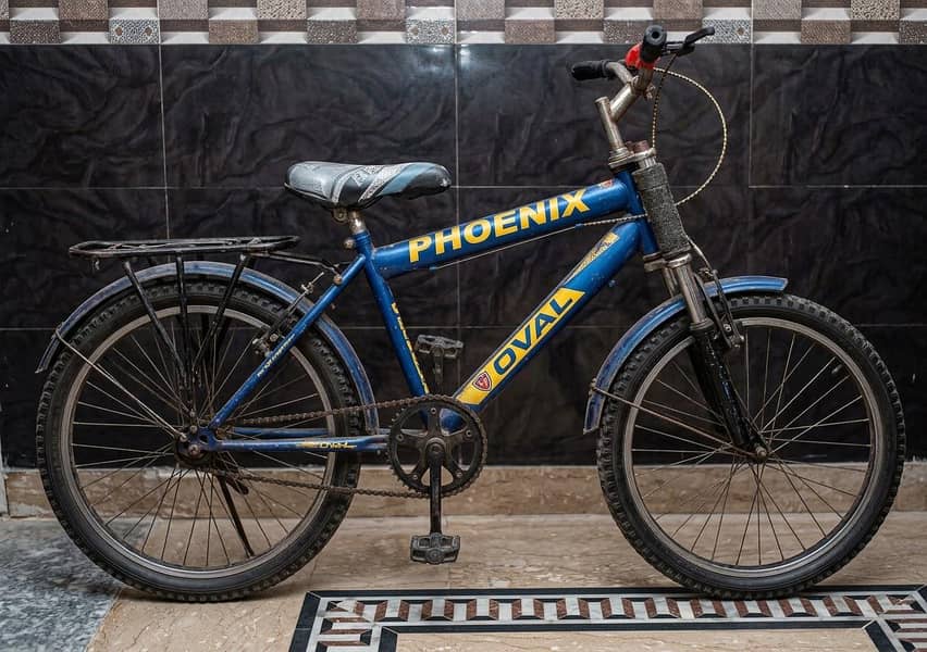 PHOENIX OVAL CYCLE used condition 1