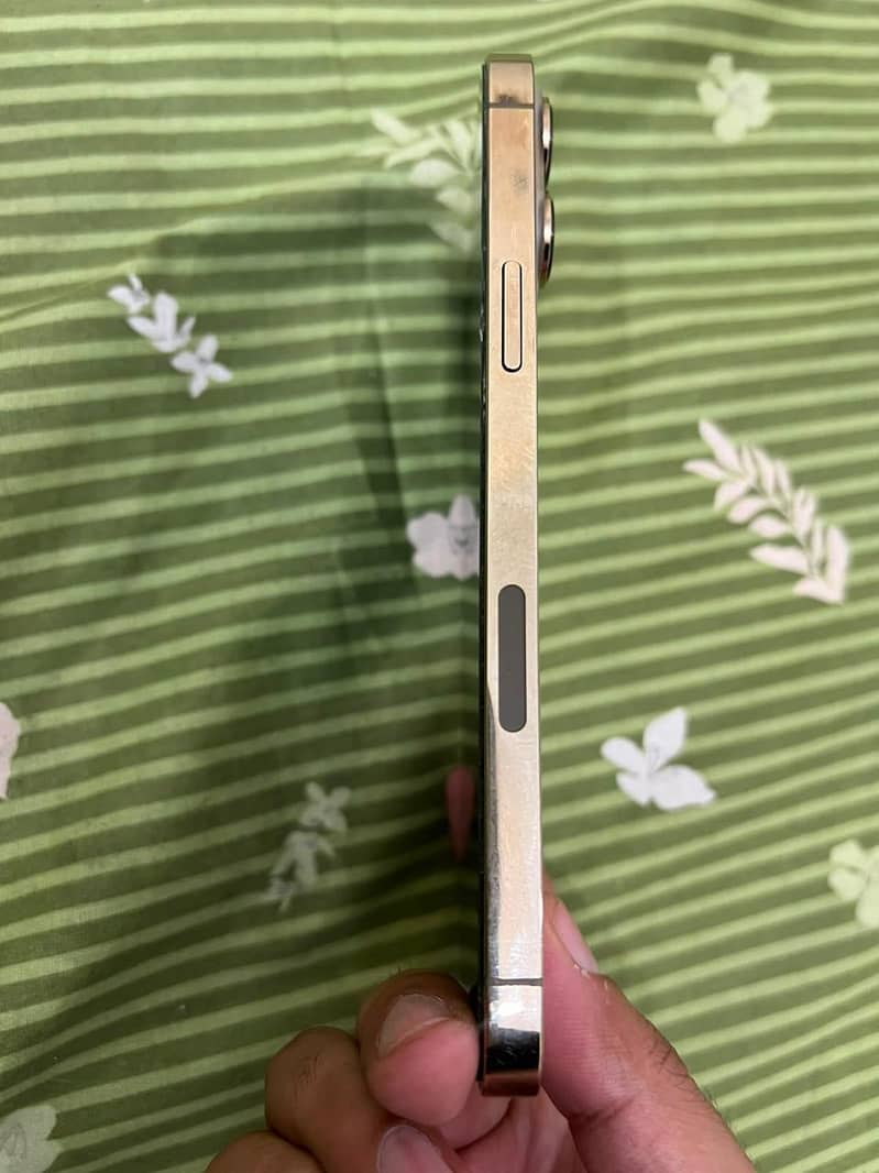 Apple iPhone 13 Pro Max JV 1