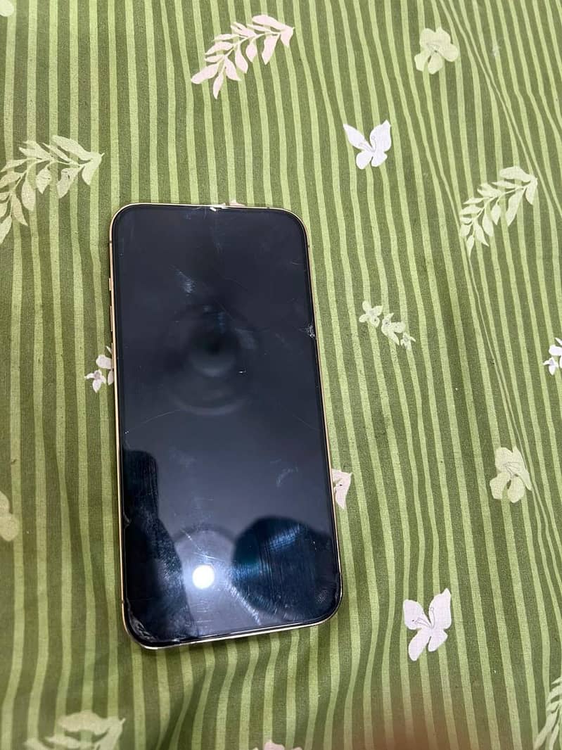 Apple iPhone 13 Pro Max JV 2