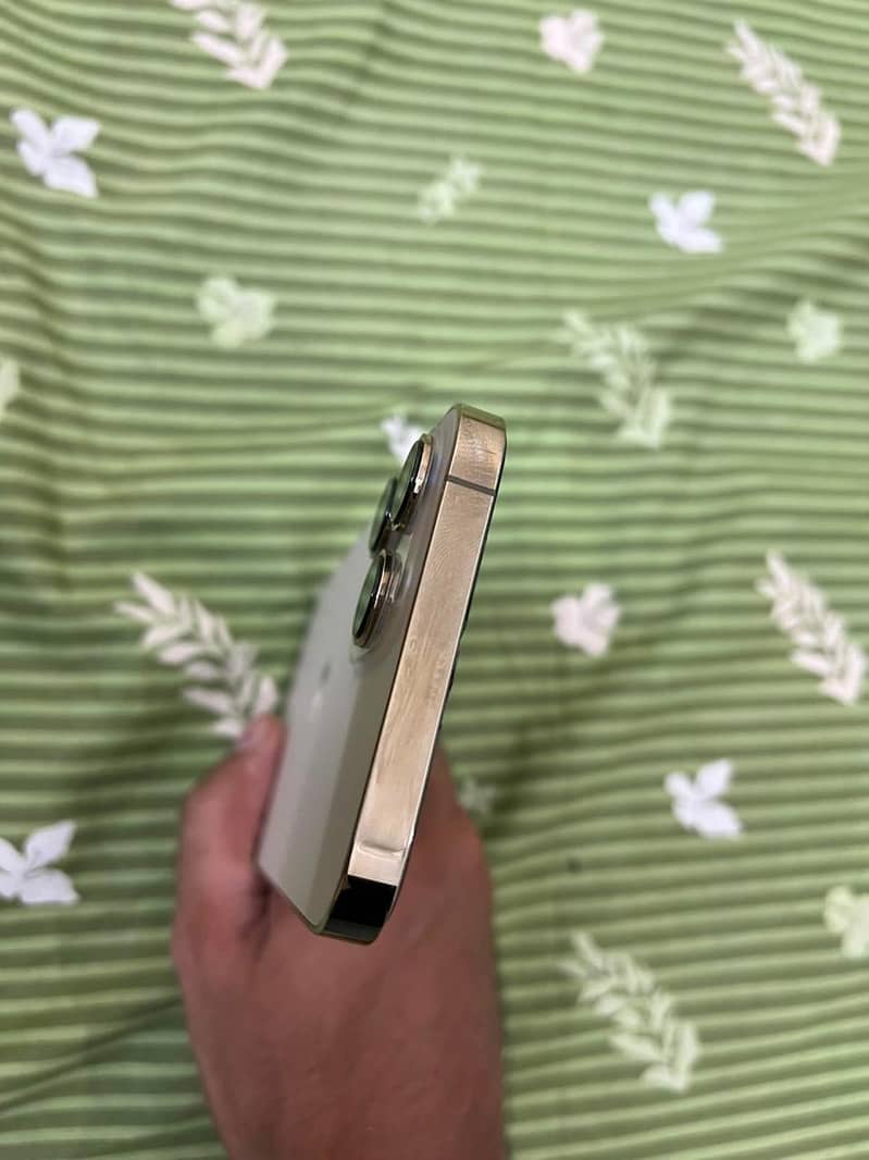 Apple iPhone 13 Pro Max JV 5