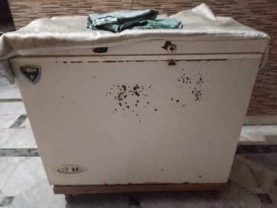 WAVE D FREEZER FOR SALE ARGENTLY WORKING CONDITION MA 10/8 RABTA KARE