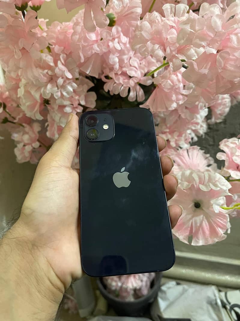 Apple iPhone 12 0