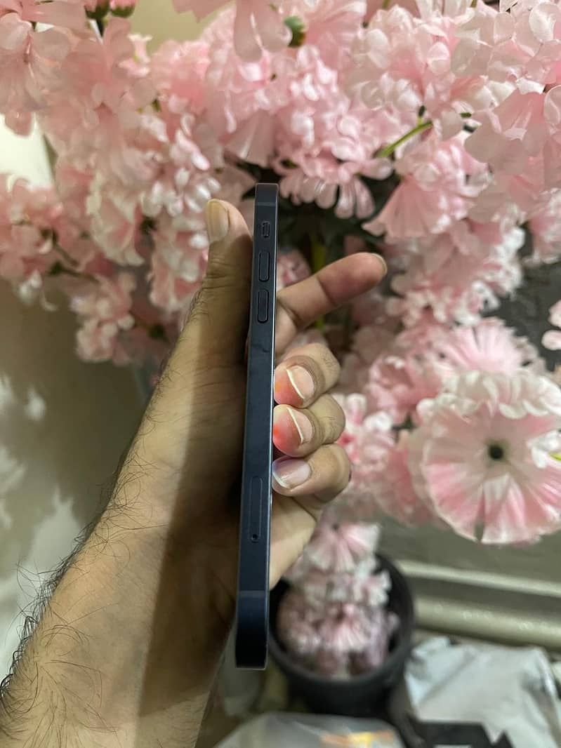 Apple iPhone 12 1