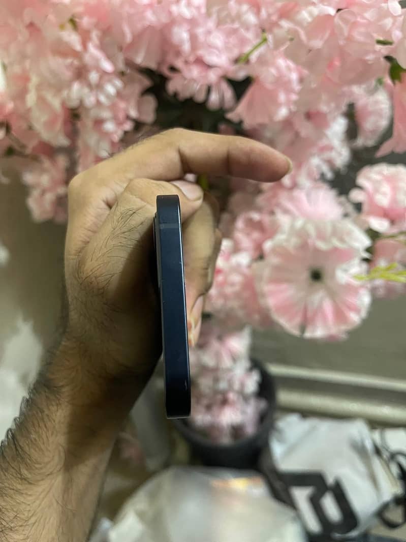 Apple iPhone 12 2