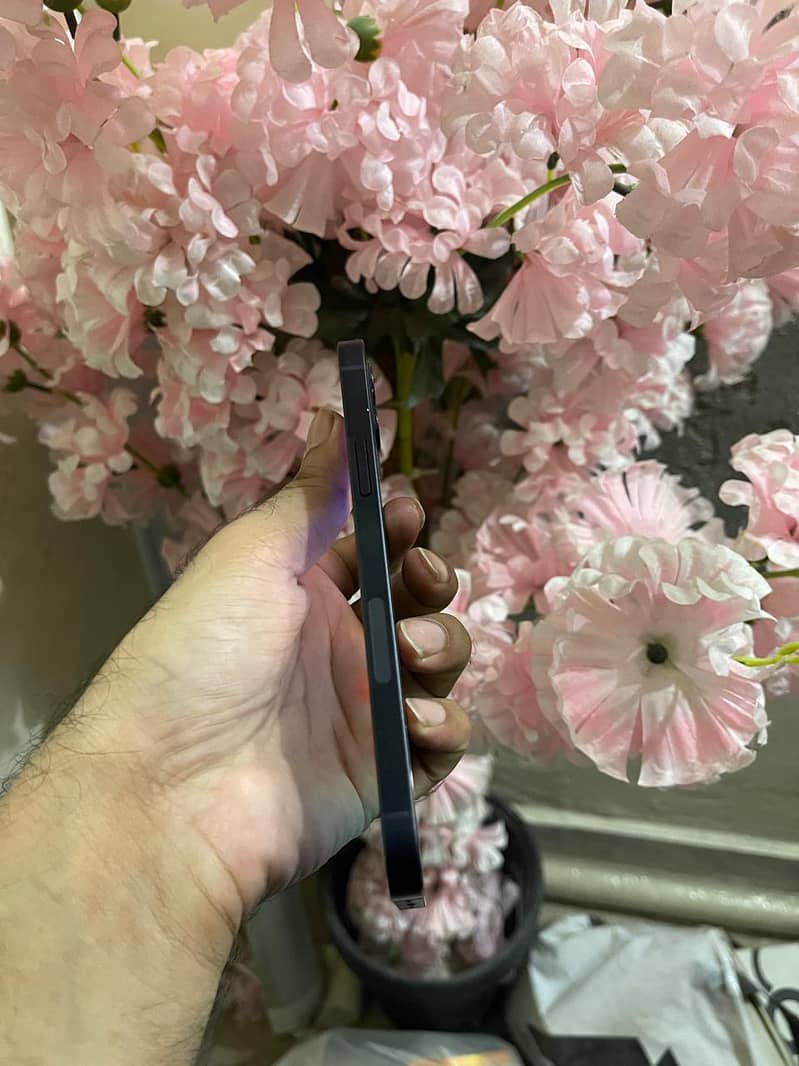 Apple iPhone 12 4