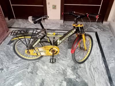 Bicycle for Sale - Good Condition - Ready to Ride