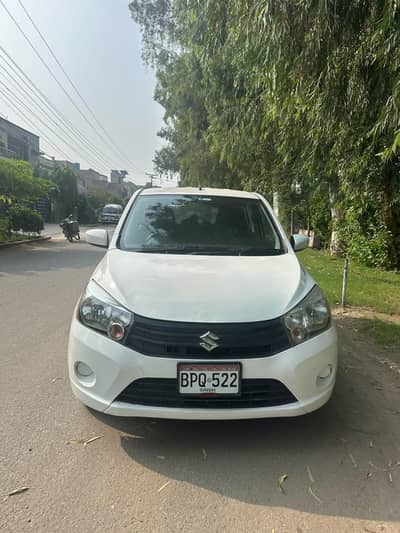 New cultus 2019