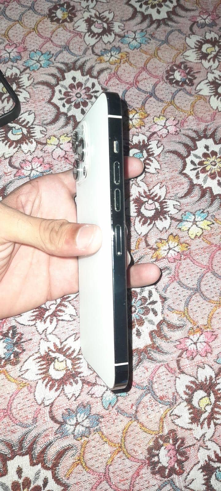 Apple iPhone 13 Pro Max 1