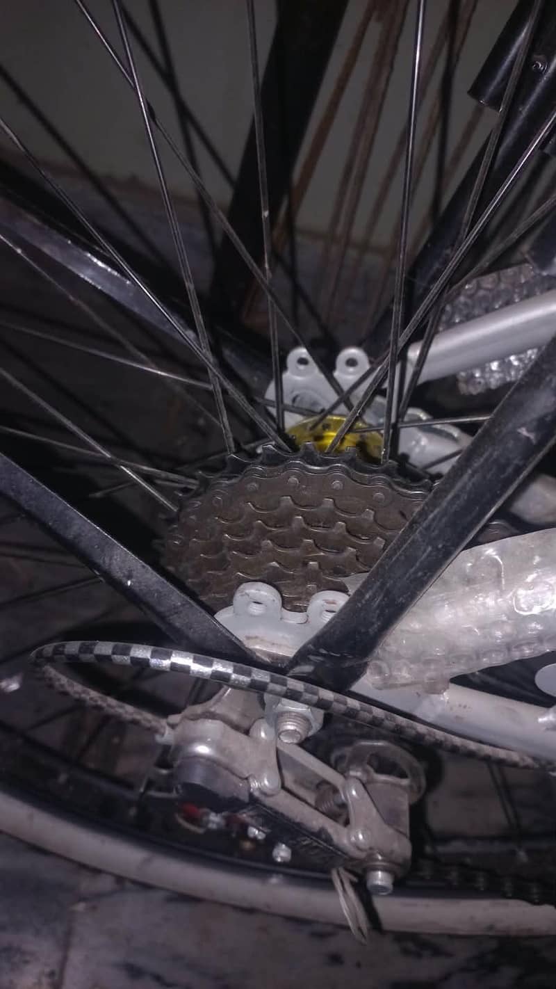 gear cycle 1