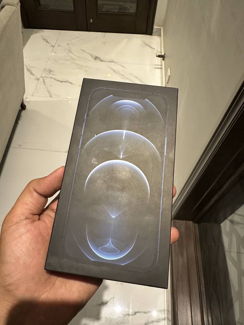 Apple iPhone 12 Pro Max 2