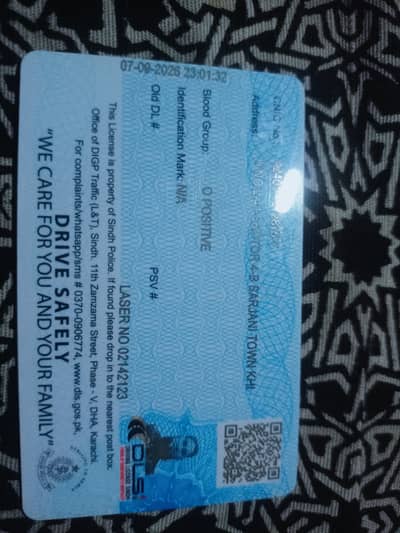 professional Htv driver with international experience