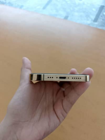 Apple iPhone 13 Pro