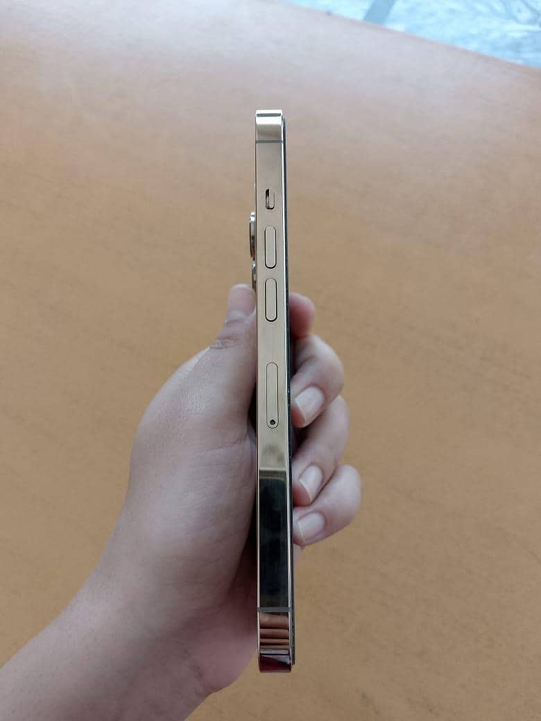 Apple iPhone 13 Pro 3