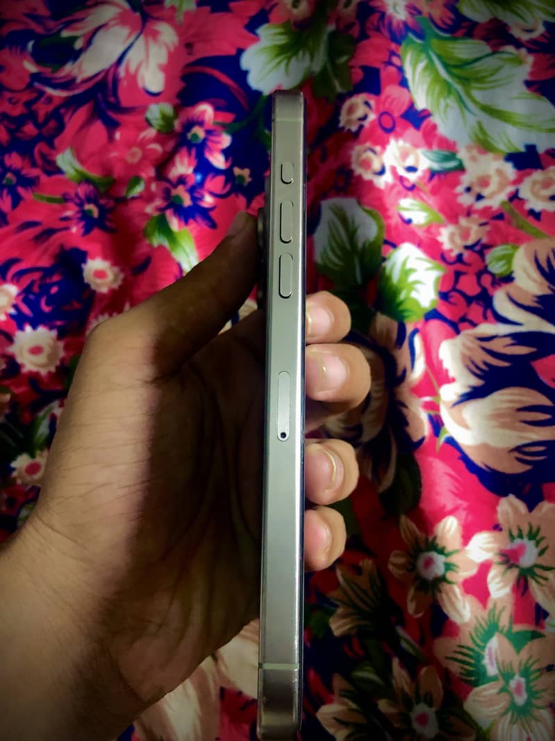 Apple iPhone 15 Pro Max 1