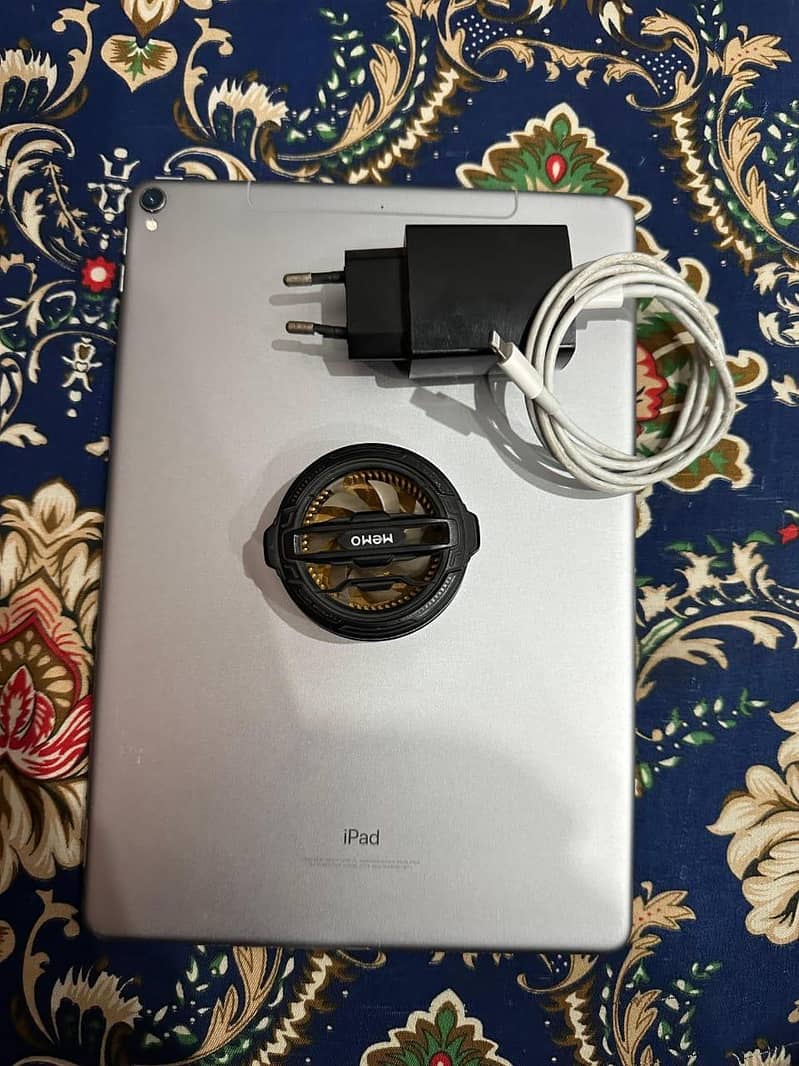 Ipad Pro 256gb 4
