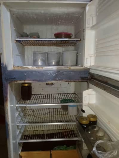freezer