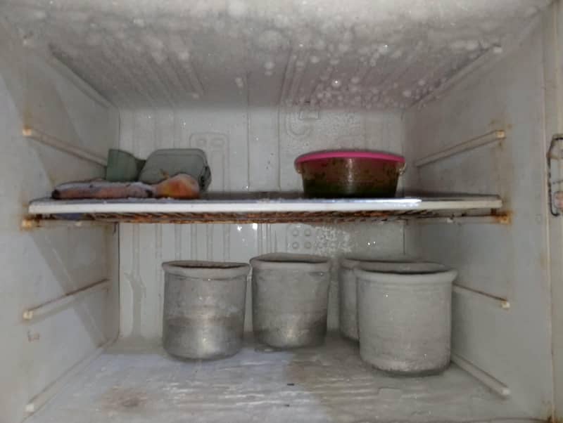 freezer 1