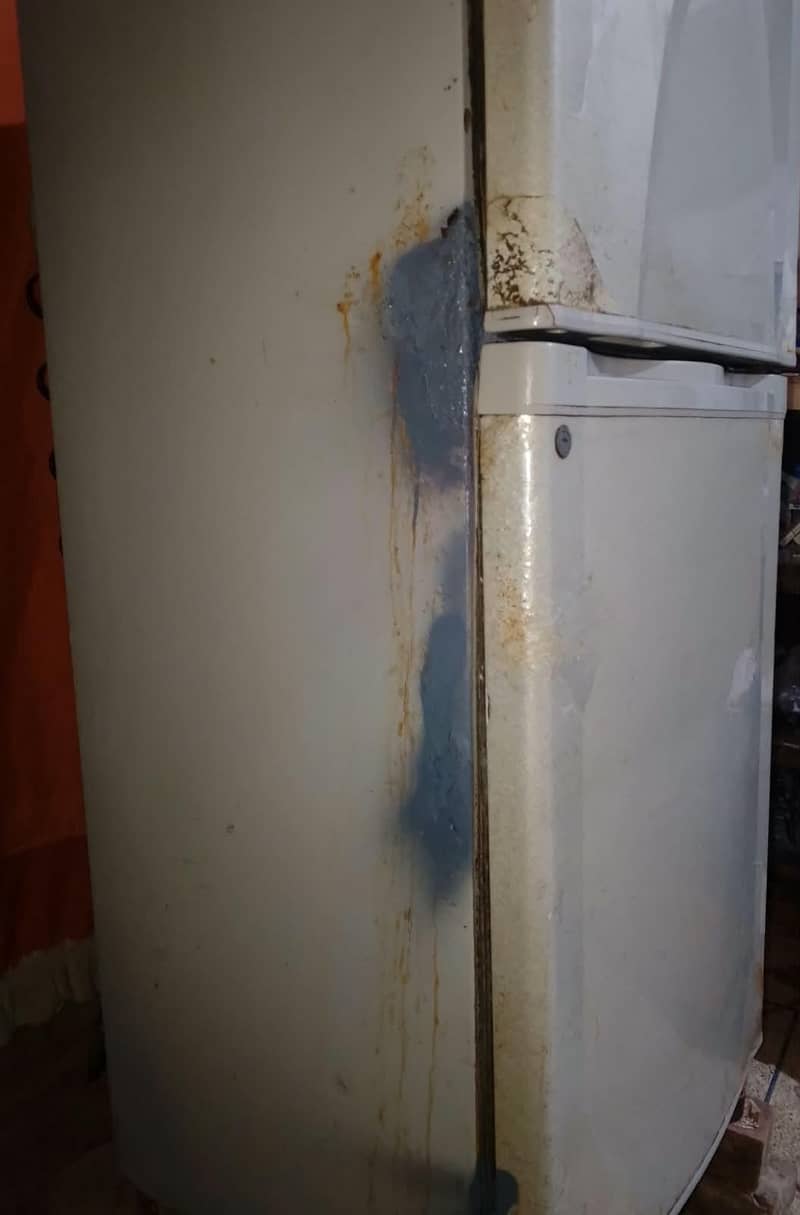 freezer 3