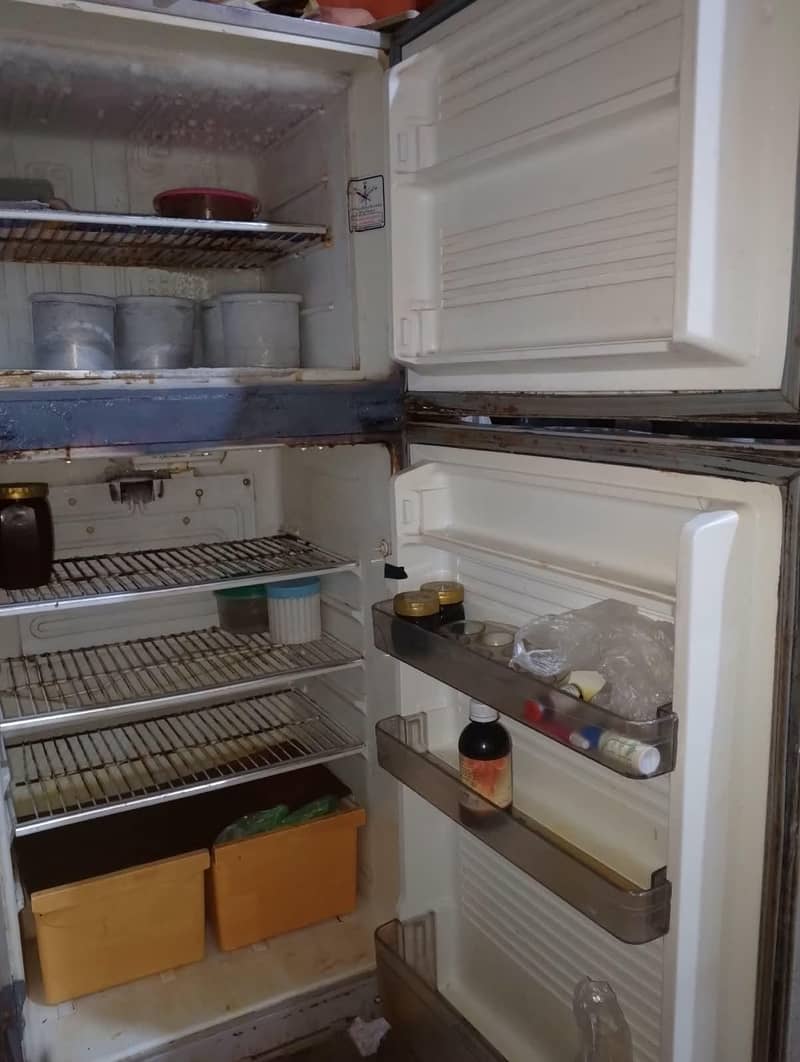 freezer 5