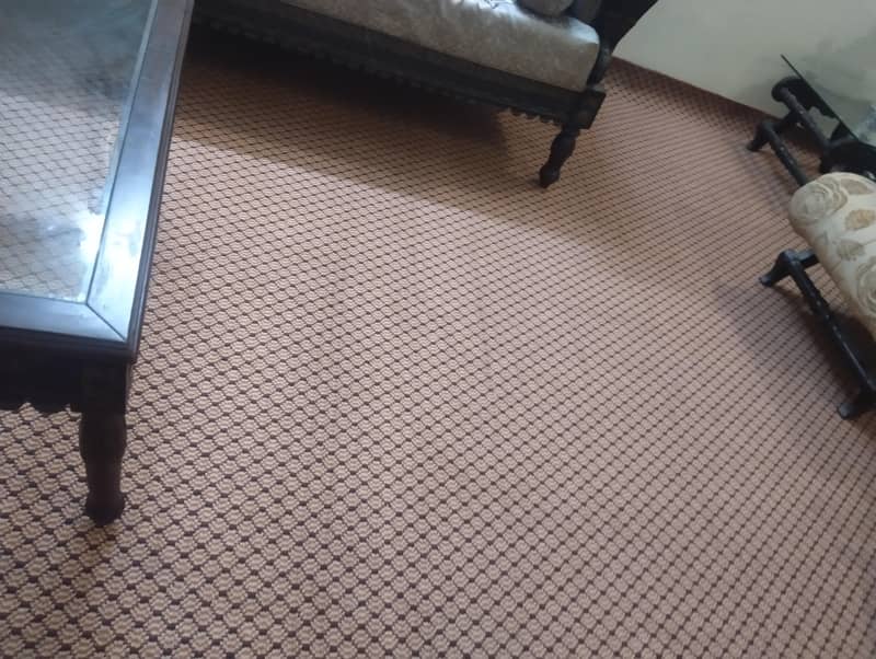 carpet 1