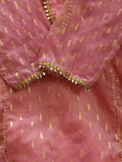 Baby Pink Organza 3-Piece Suit – Worn Once