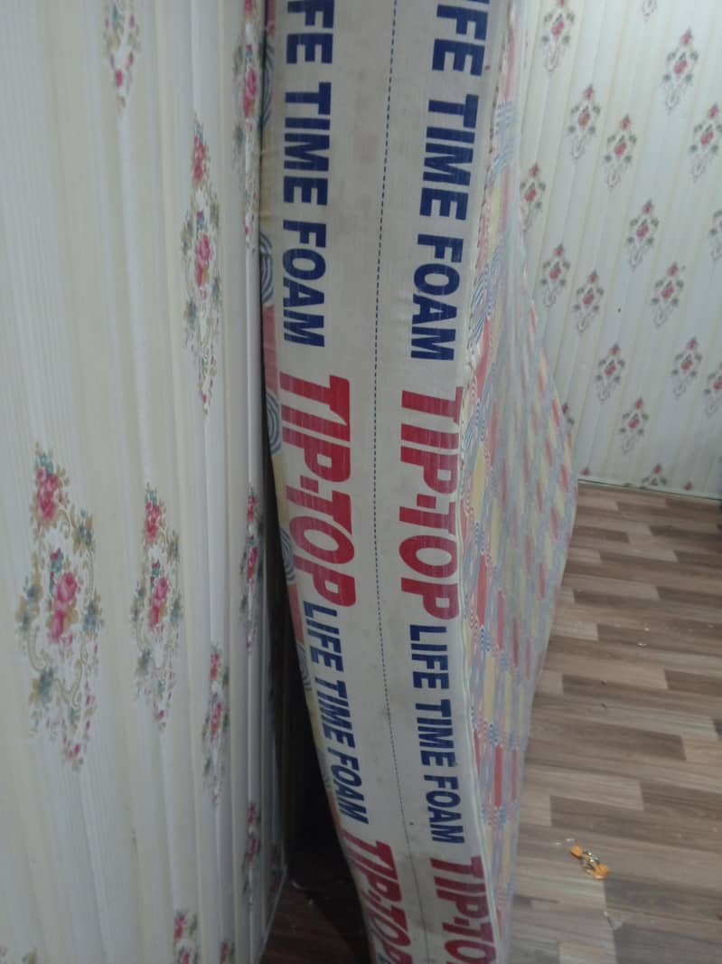 tip top 8 inch 2