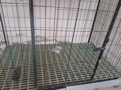 German shephered and other dogs are easily survive