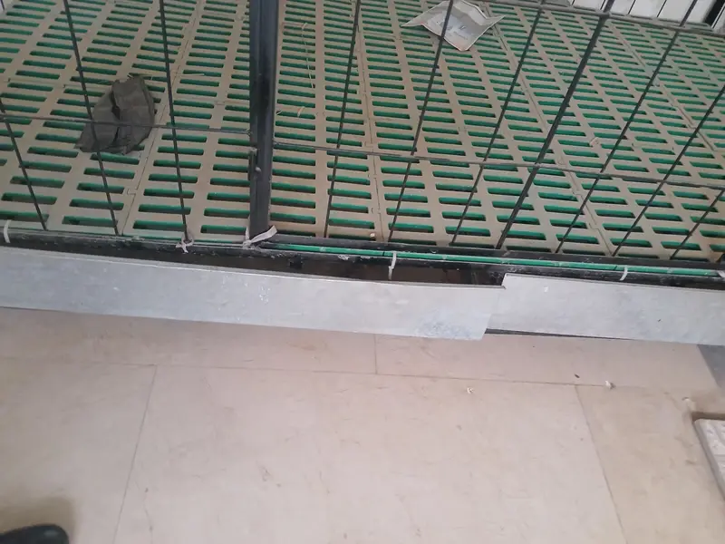 German shephered and other dogs are easily survive — photo 2