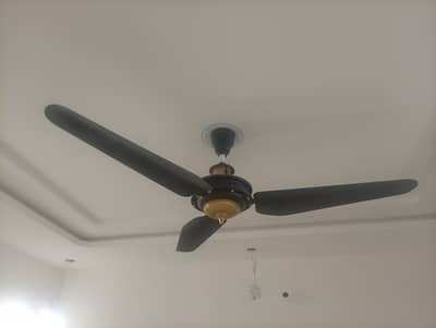 Lahore Fans Ceiling Fans – Black & Gold | 4 Fans Available 10k each