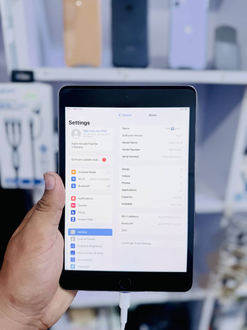 iPad Mini 4 2