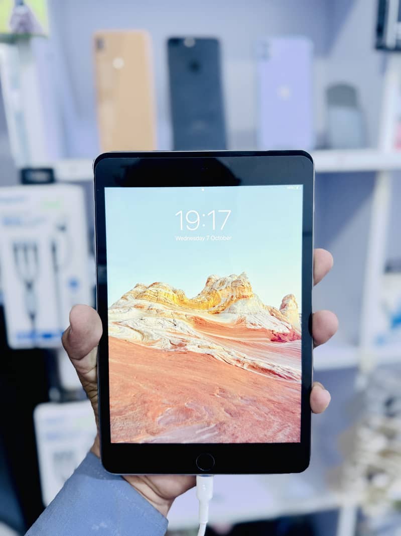 iPad Mini 4 3