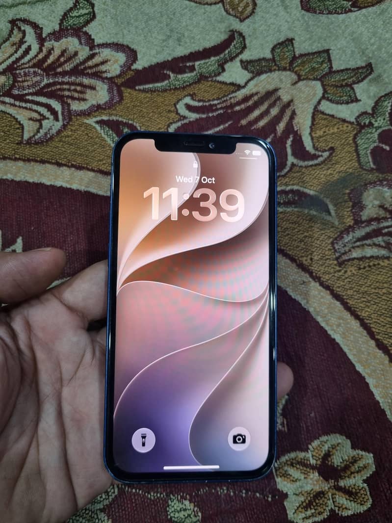 Apple iPhone 12 1