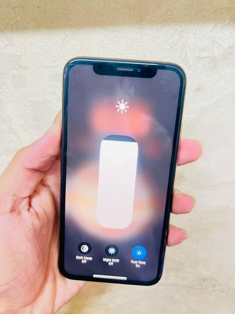 Apple iPhone XS 2