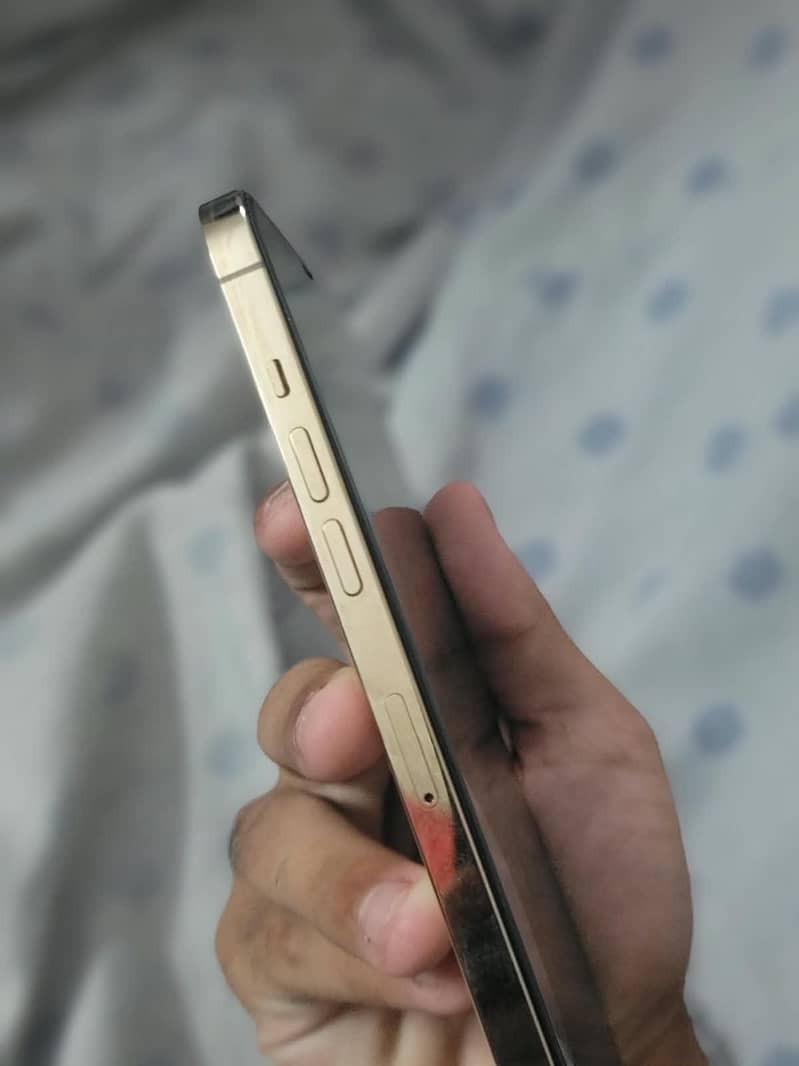 iPhone 12 pro max FU 3