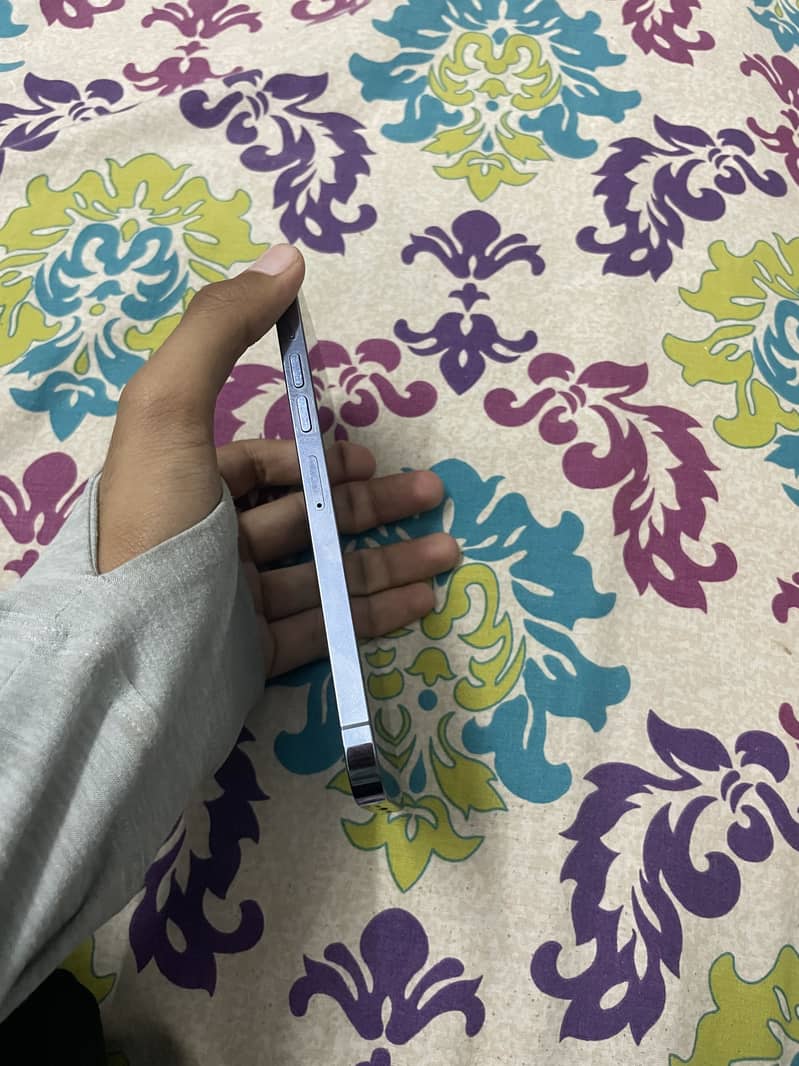 Apple iPhone 13 Pro Max 3