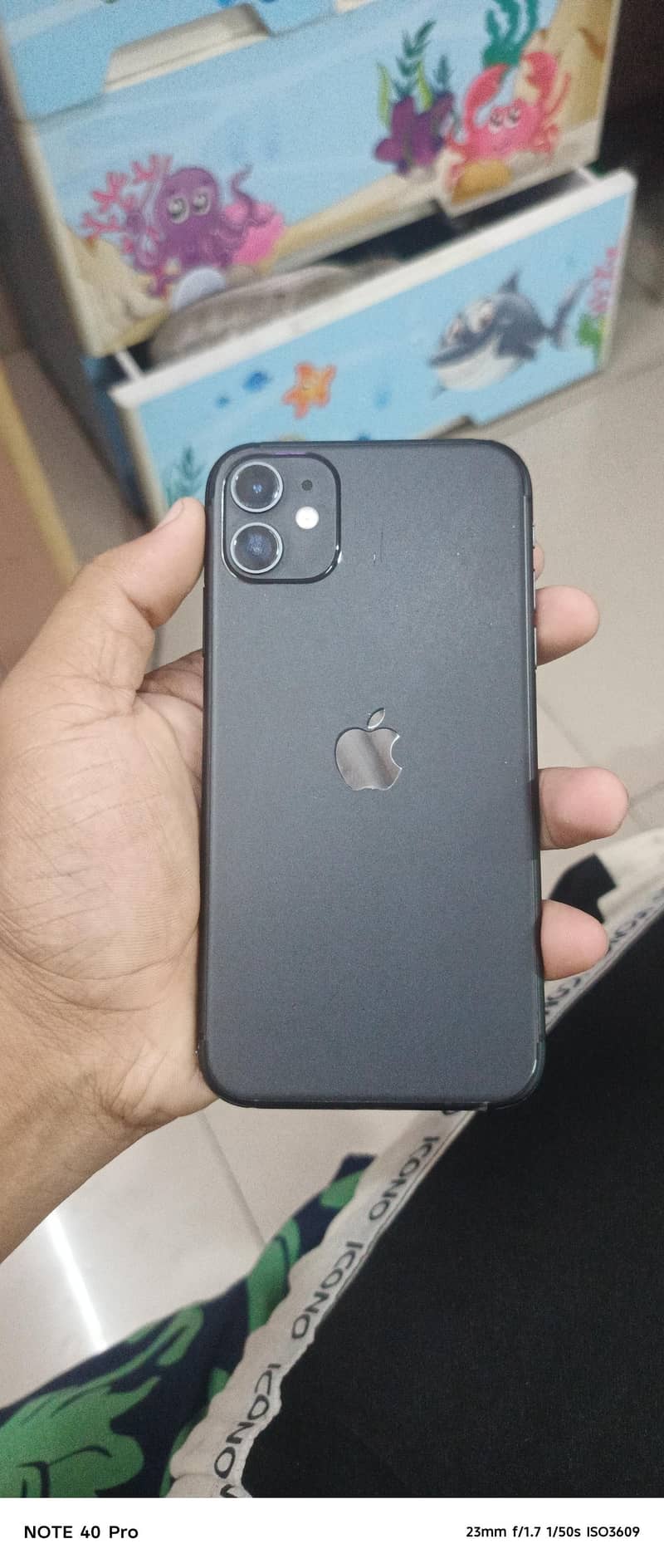 Apple iPhone 11 0